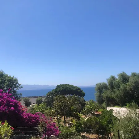 4 Couchages, Climatise A 150m De La Route Des Sanguinaires, Parking Prive Apartment