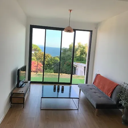 Apartment Ajaccio 4 Couchages, Climatise A 150m De La Route Des Sanguinaires, Parking Prive Ajaccio (Corsica)