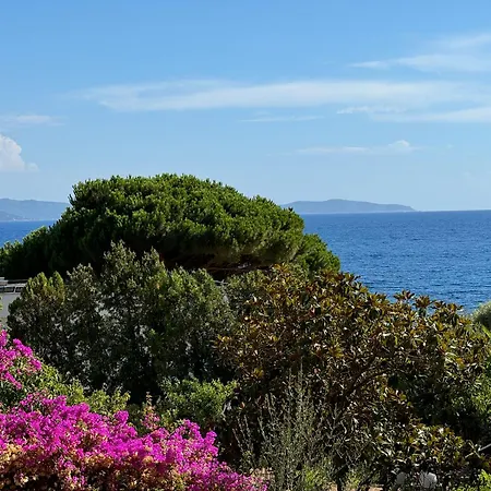 4 Couchages, Climatise A 150m De La Route Des Sanguinaires, Parking Prive Апартаменты