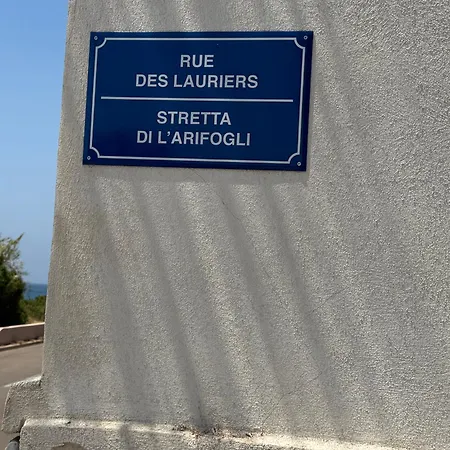 4 Couchages, Climatise A 150m De La Route Des Sanguinaires, Parking Prive Διαμέρισμα *