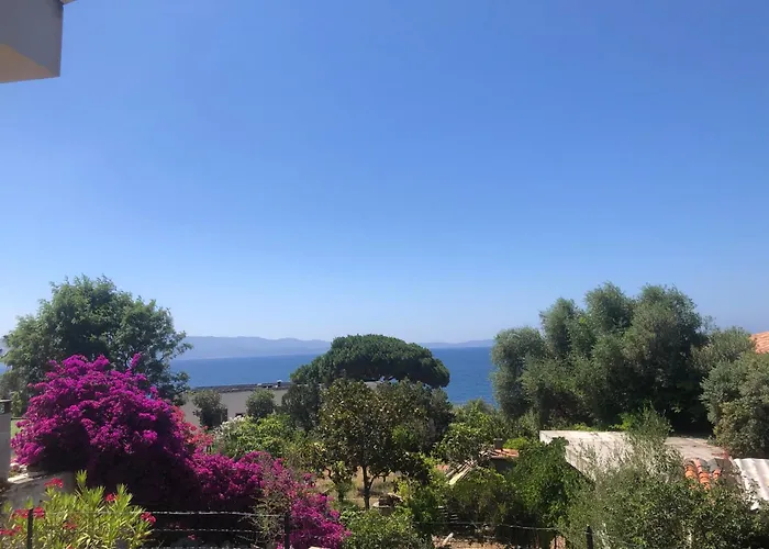 4 Couchages, Climatise A 150m De La Route Des Sanguinaires, Parking Prive Apartment