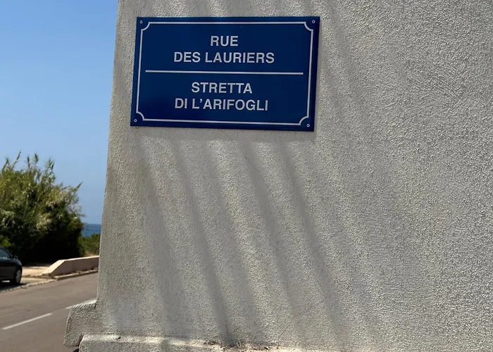 4 Couchages, Climatise A 150m De La Route Des Sanguinaires, Parking Prive Apartment *